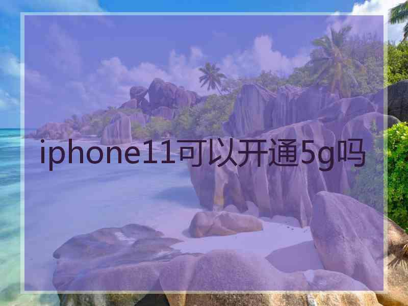 iphone11可以开通5g吗