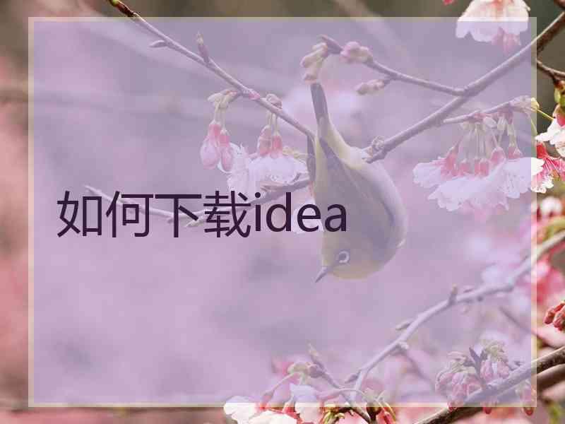 如何下载idea