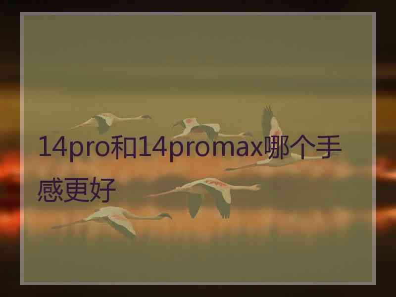 14pro和14promax哪个手感更好