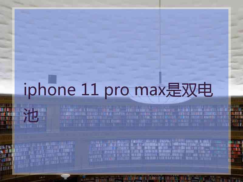 iphone 11 pro max是双电池