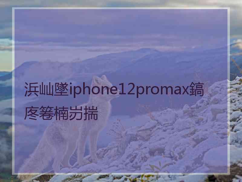 浜屾墜iphone12promax鎬庝箞楠岃揣