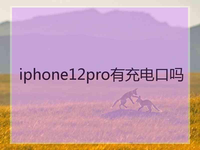 iphone12pro有充电口吗