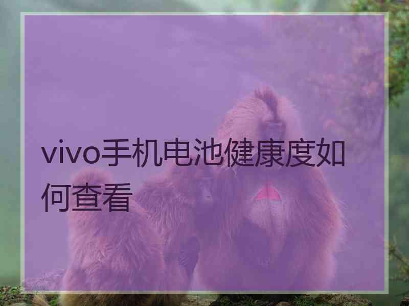 vivo手机电池健康度如何查看