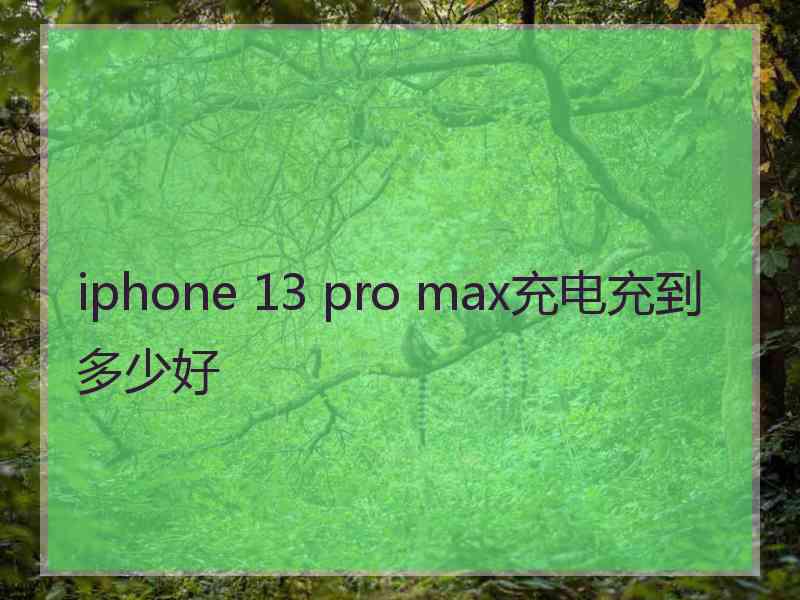 iphone 13 pro max充电充到多少好