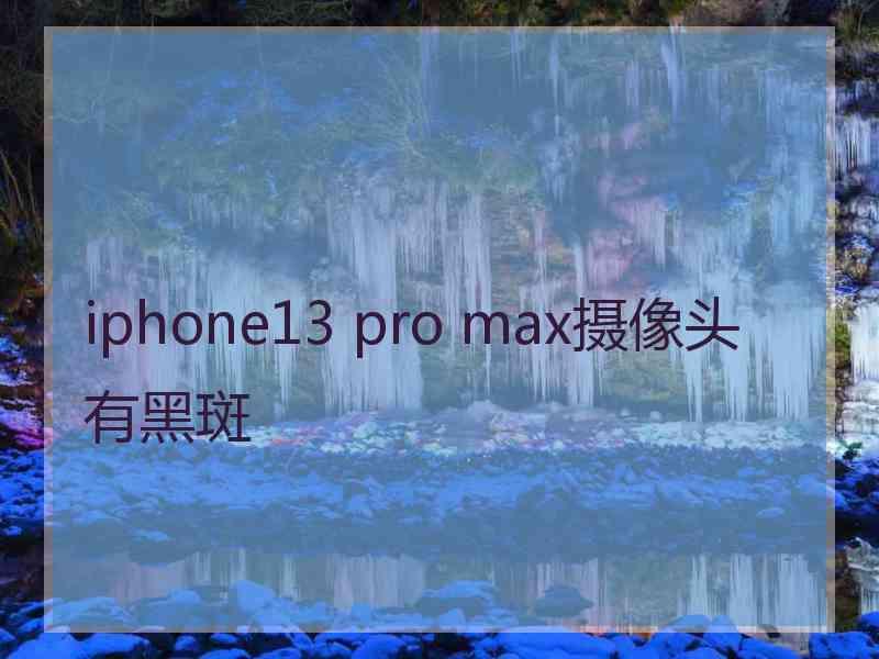 iphone13 pro max摄像头有黑斑