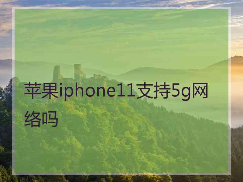 苹果iphone11支持5g网络吗