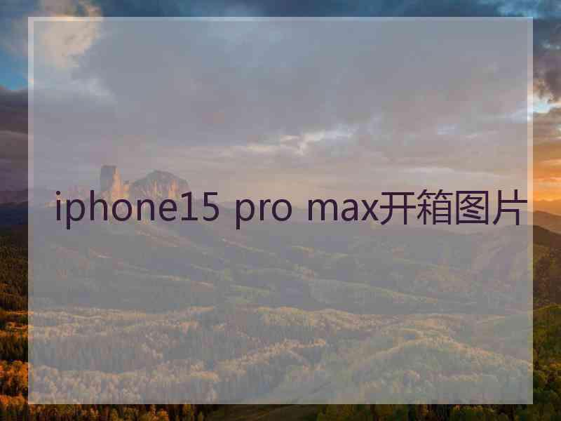 iphone15 pro max开箱图片