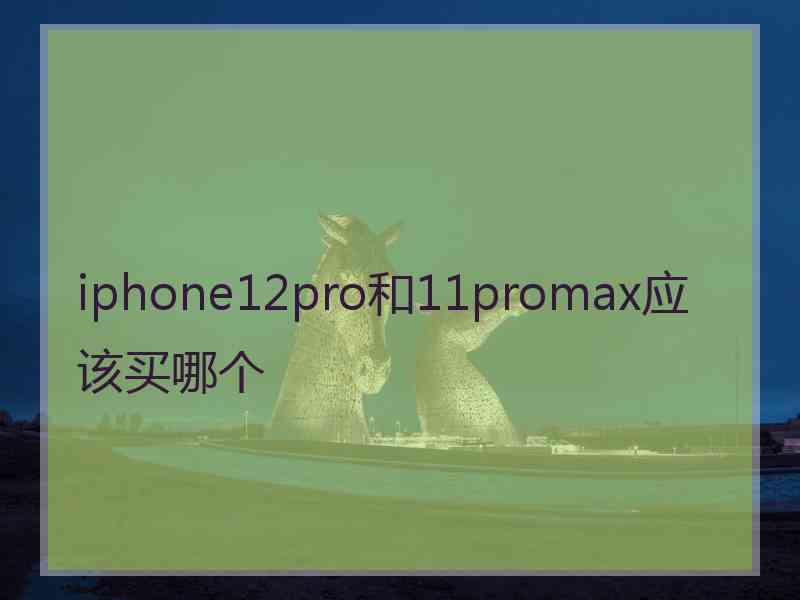 iphone12pro和11promax应该买哪个