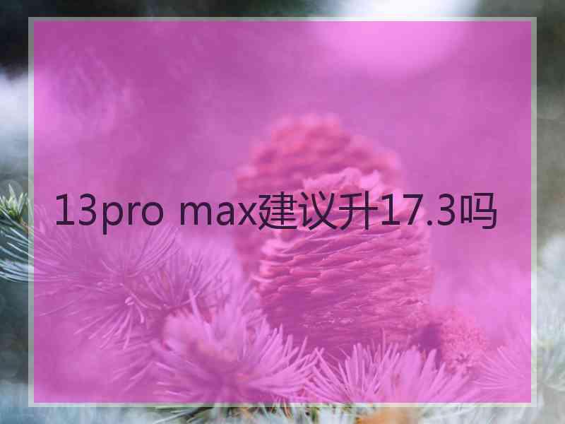 13pro max建议升17.3吗