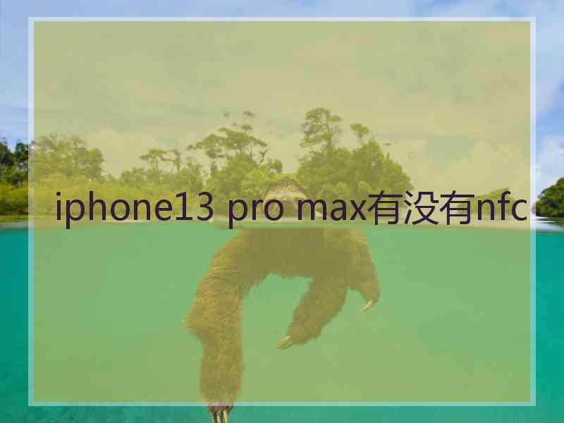 iphone13 pro max有没有nfc