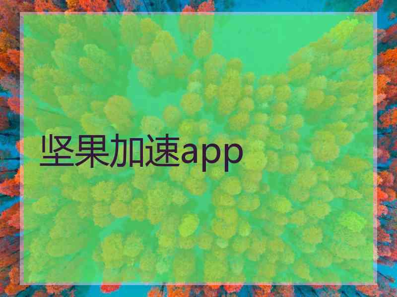 坚果加速app