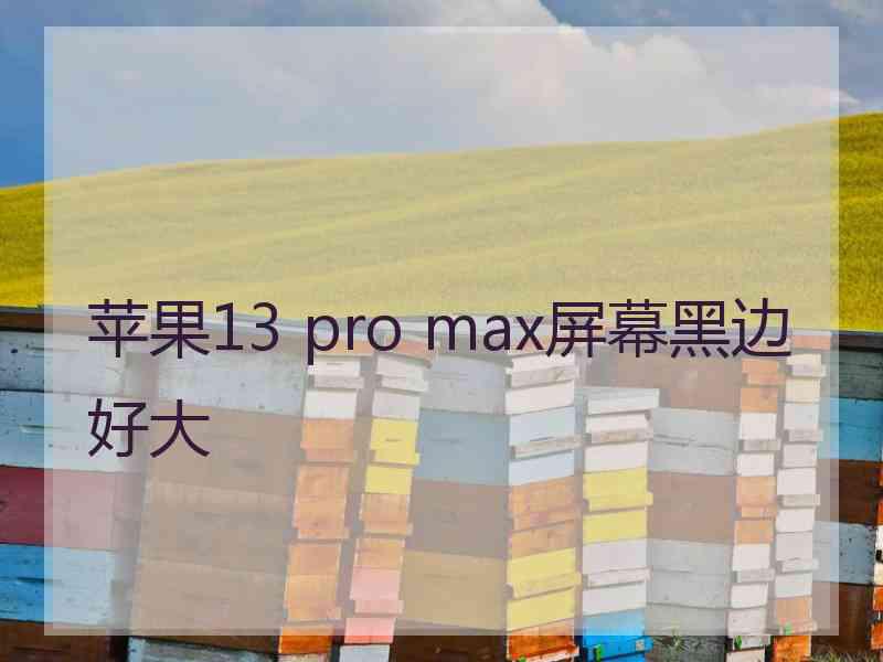 苹果13 pro max屏幕黑边好大