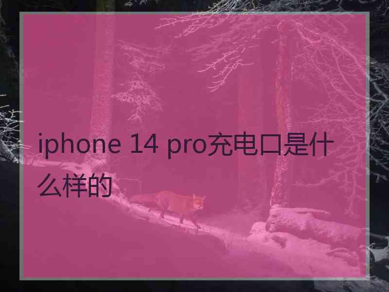 iphone 14 pro充电口是什么样的