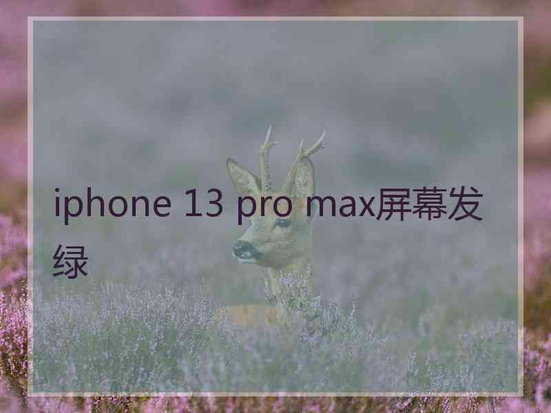 iphone 13 pro max屏幕发绿