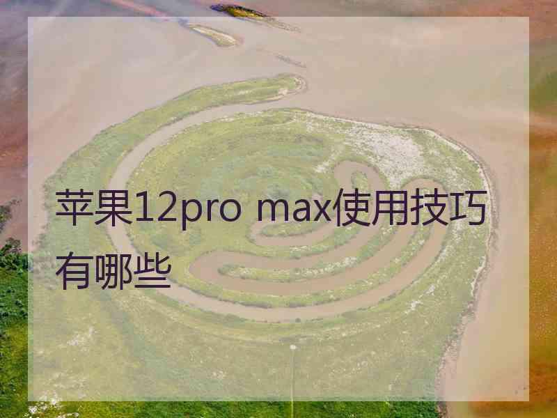 苹果12pro max使用技巧有哪些