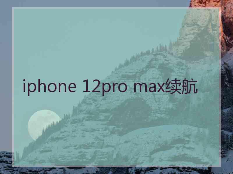 iphone 12pro max续航