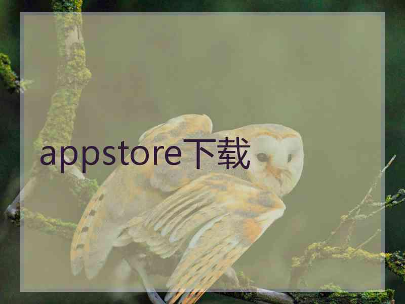 appstore下载