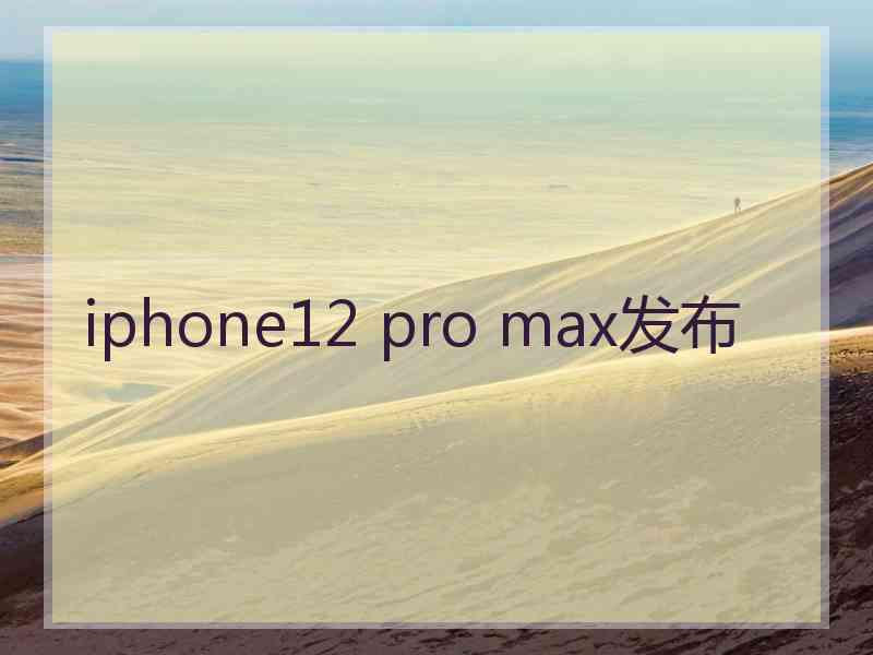 iphone12 pro max发布