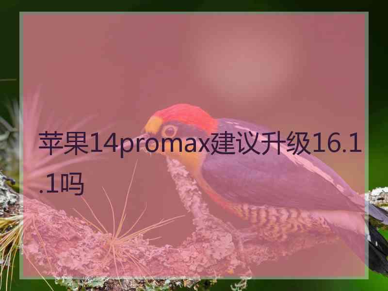 苹果14promax建议升级16.1.1吗