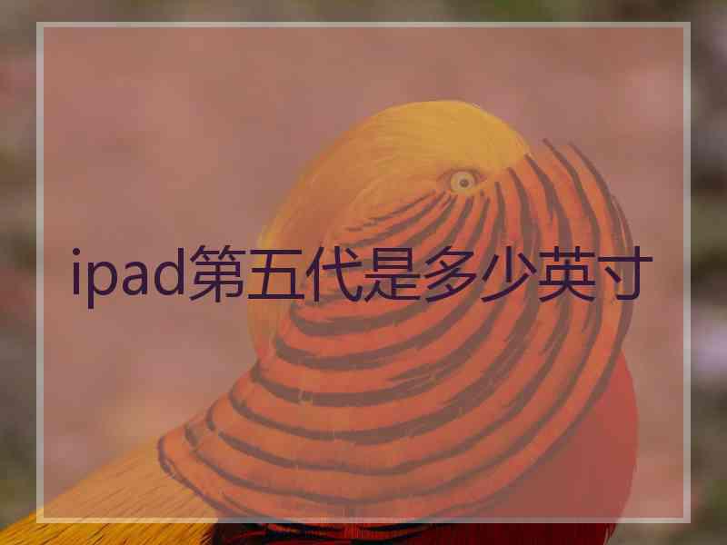 ipad第五代是多少英寸