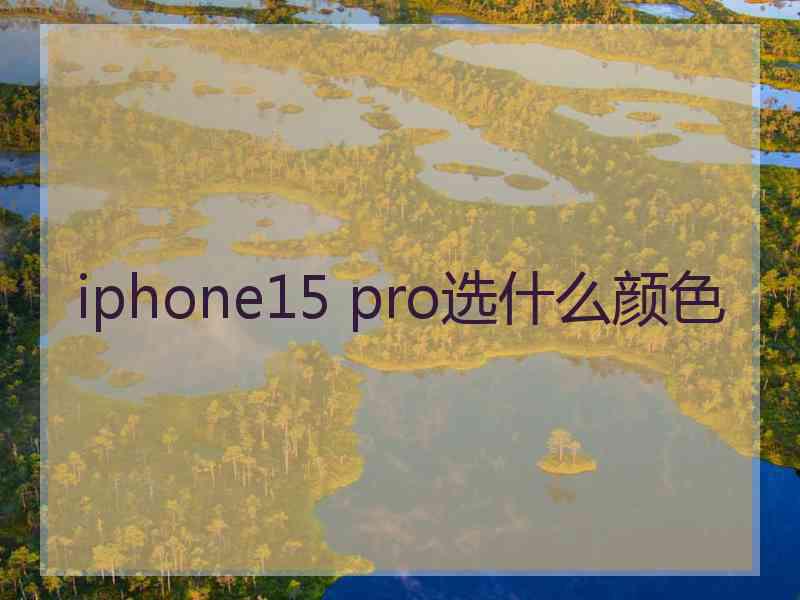 iphone15 pro选什么颜色