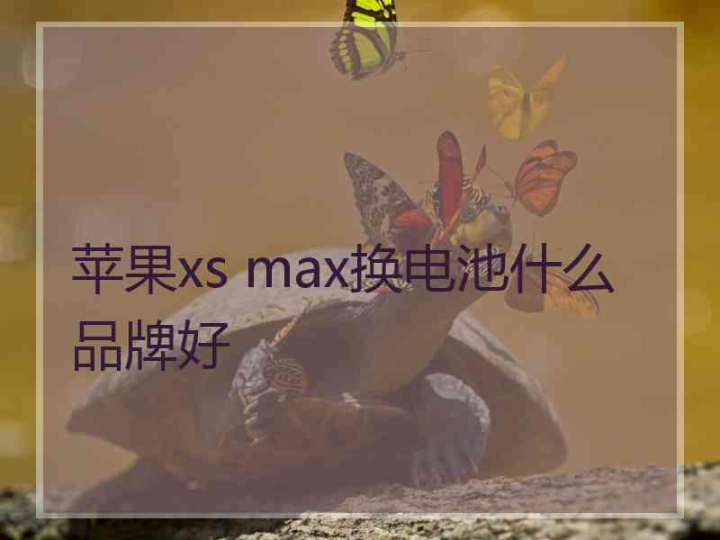 苹果xs max换电池什么品牌好