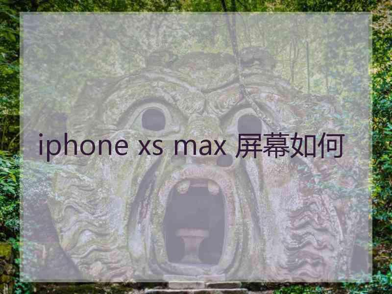 iphone xs max 屏幕如何