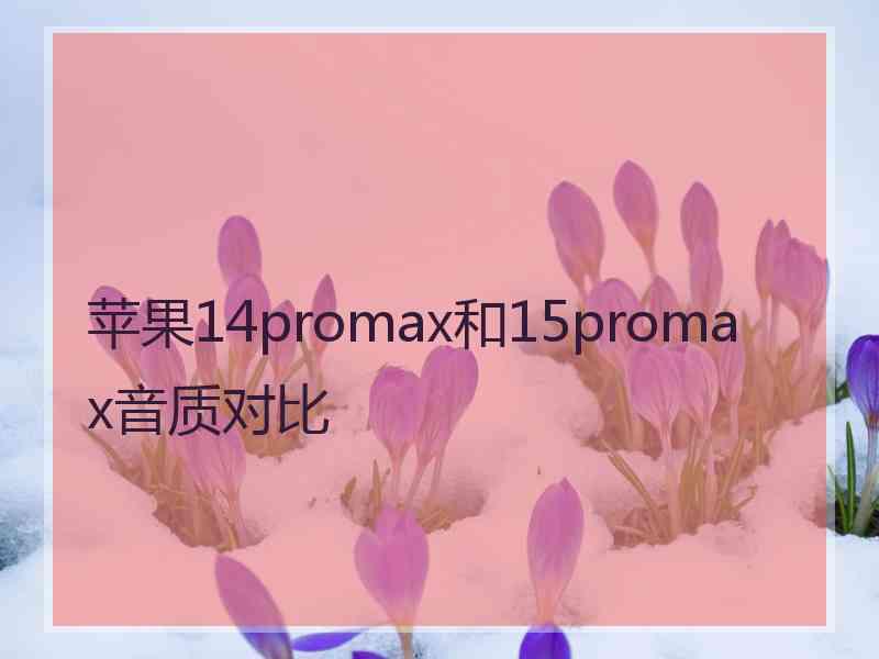 苹果14promax和15promax音质对比