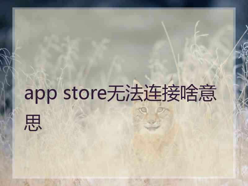 app store无法连接啥意思