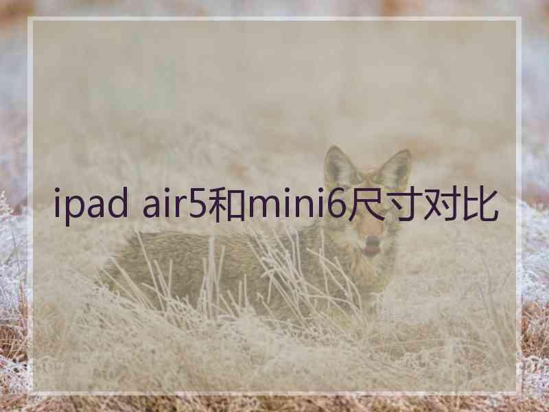 ipad air5和mini6尺寸对比