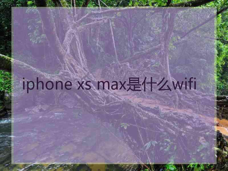 iphone xs max是什么wifi