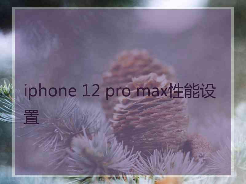 iphone 12 pro max性能设置