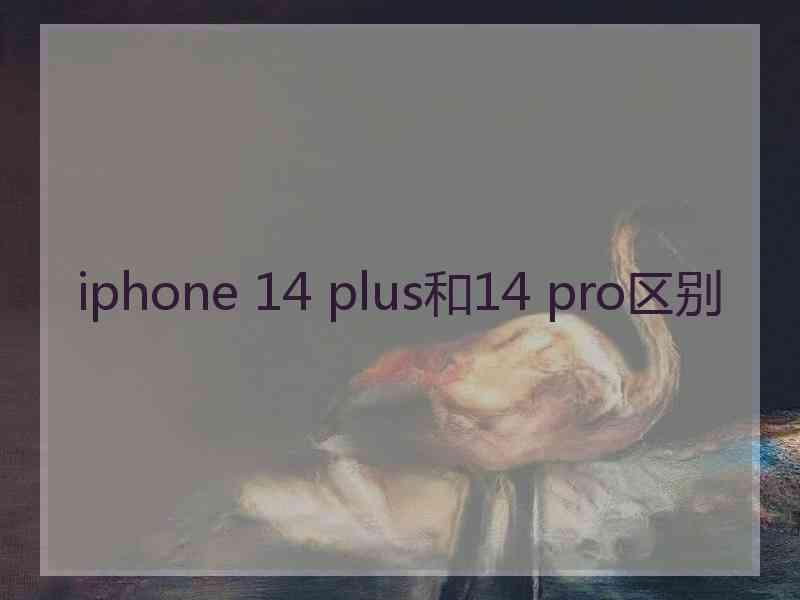 iphone 14 plus和14 pro区别