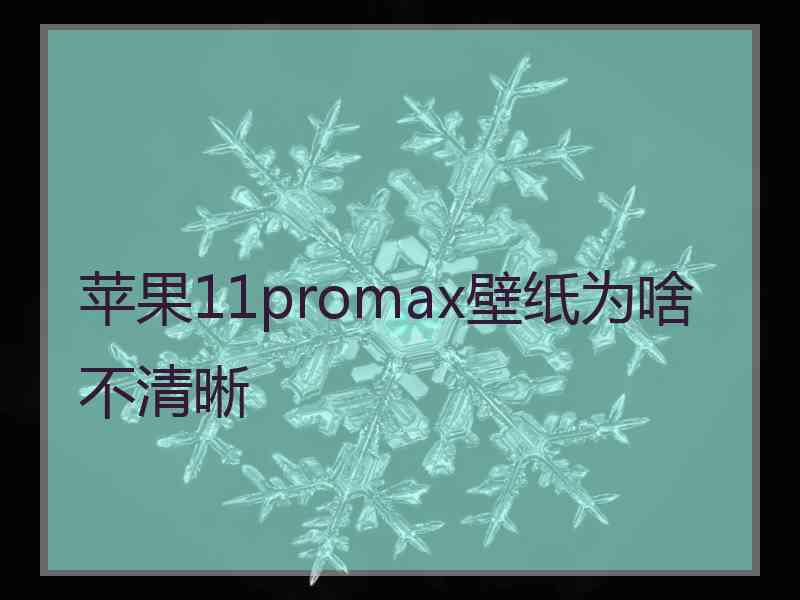 苹果11promax壁纸为啥不清晰