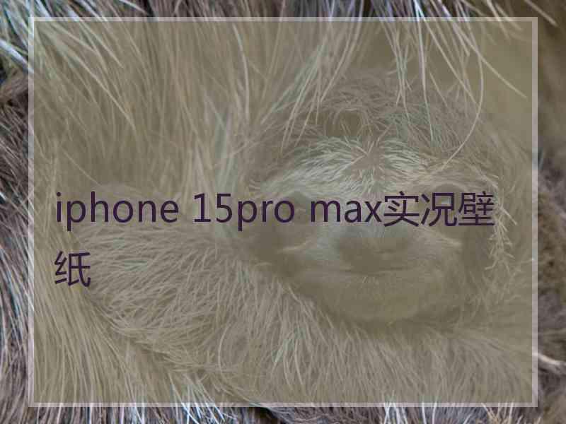 iphone 15pro max实况壁纸