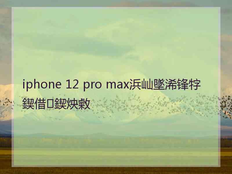 iphone 12 pro max浜屾墜浠锋牸鍥借鍥炴敹