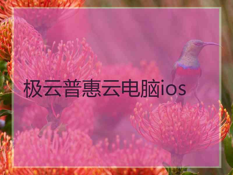 极云普惠云电脑ios