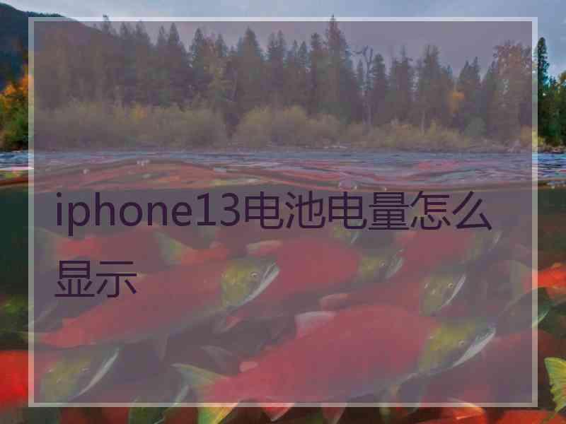 iphone13电池电量怎么显示