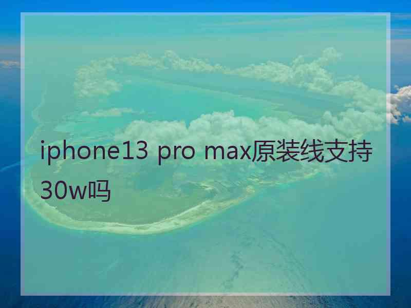 iphone13 pro max原装线支持30w吗