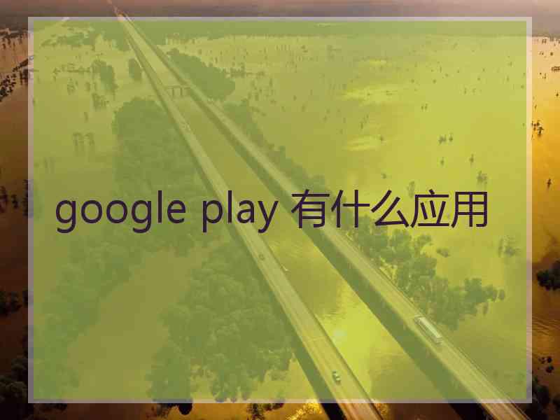 google play 有什么应用