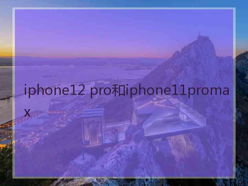 iphone12 pro和iphone11promax