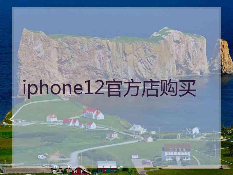 iphone12官方店购买