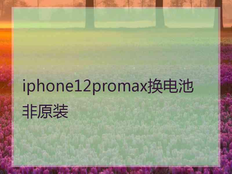 iphone12promax换电池非原装