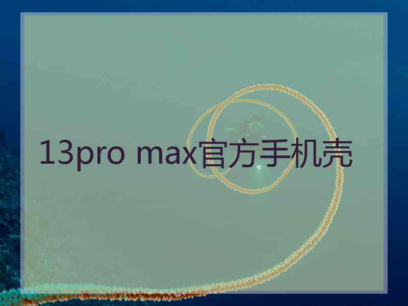 13pro max官方手机壳