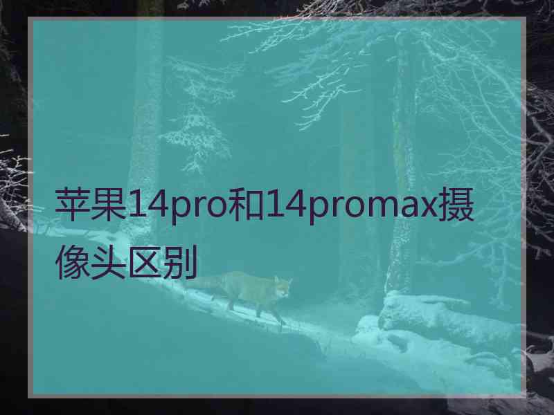 苹果14pro和14promax摄像头区别