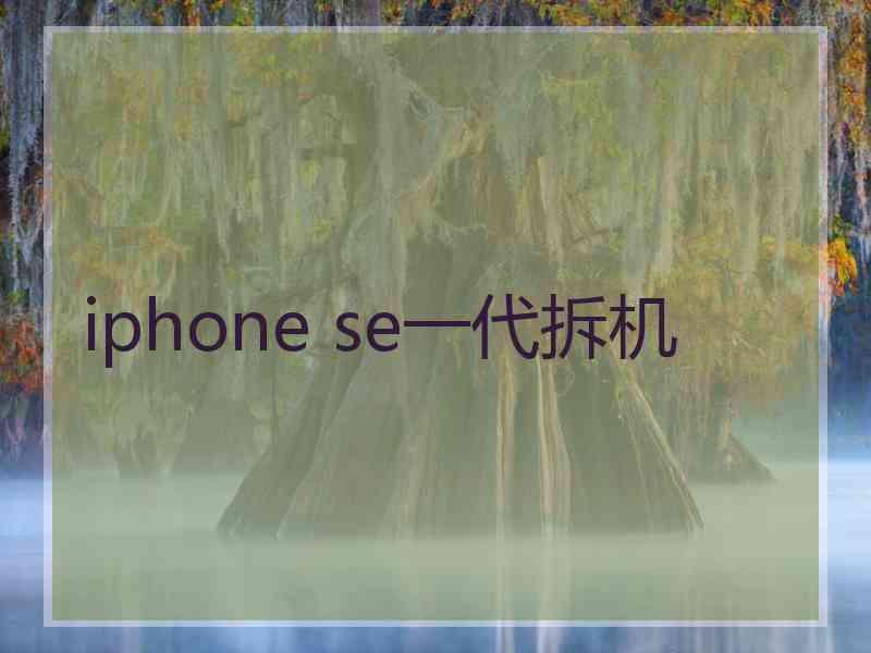 iphone se一代拆机