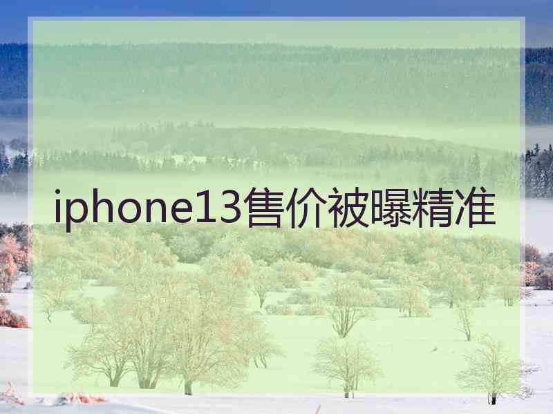 iphone13售价被曝精准