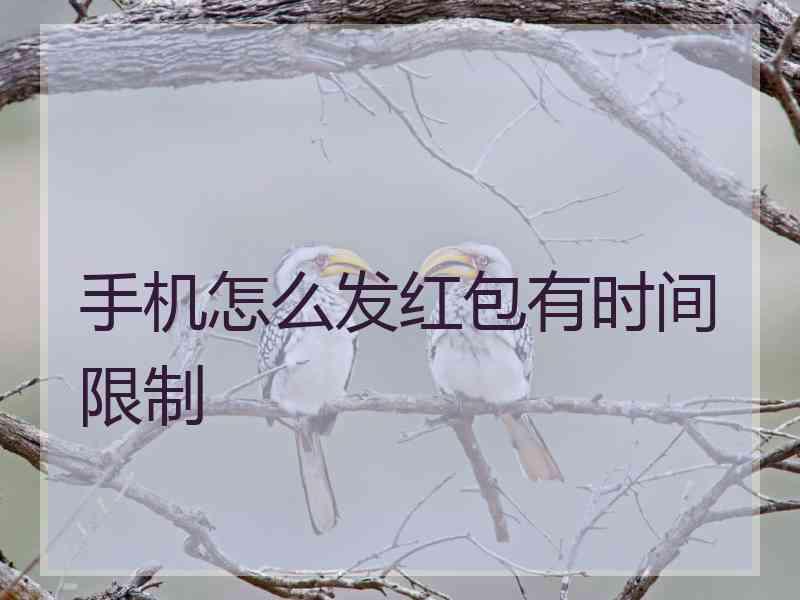 手机怎么发红包有时间限制