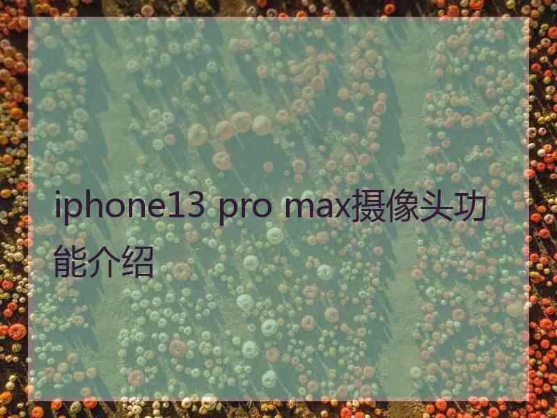 iphone13 pro max摄像头功能介绍