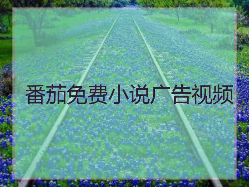 番茄免费小说广告视频